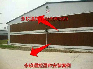 大香蕉免费小视频安装现场