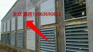 大香蕉三级片安装现场