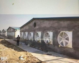 大香蕉三级片安装现场