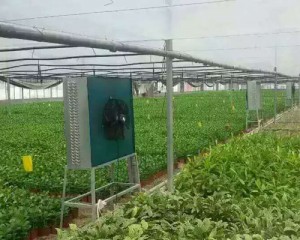 大香蕉三级片安装现场