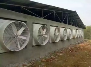 大香蕉三级片安装现场